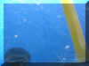 36_blue-water-shadow.jpg (56463 bytes)
