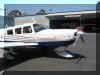 N4184R new paint - nose detail 1.jpg (676351 bytes)