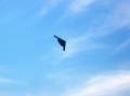 OSH2001-063